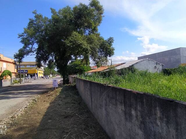 #1 - Terreno para Venda em Itapoá - SC