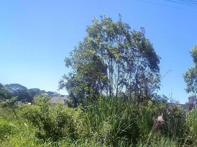 Terreno para Venda em Itapoá - 3