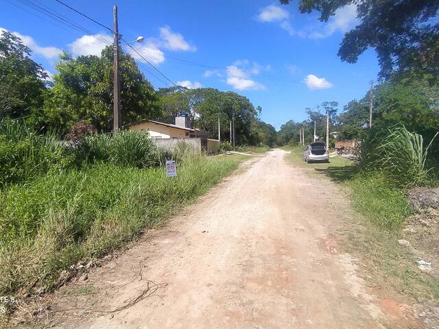 Terreno para Venda em Itapoá - 4