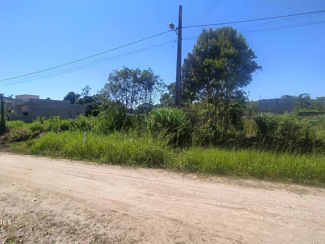 Terreno para Venda em Itapoá - 5