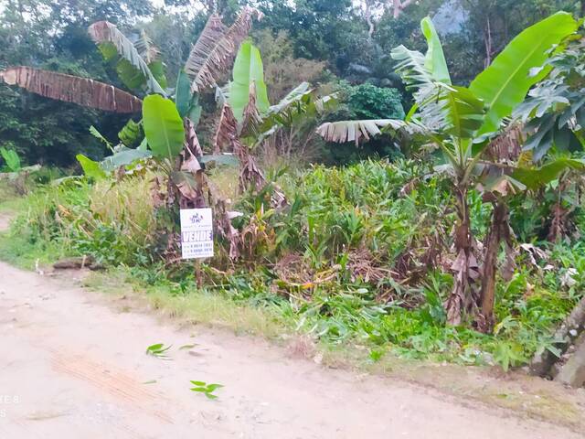 #79 - Terreno para Venda em São Francisco do Sul - SC - 2