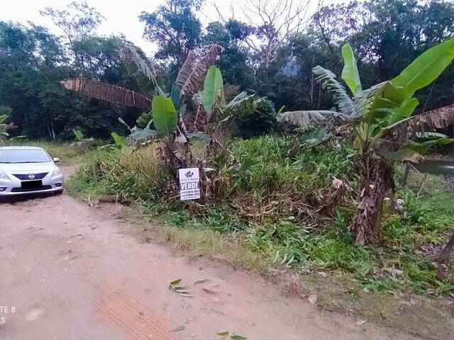 #79 - Terreno para Venda em São Francisco do Sul - SC - 1