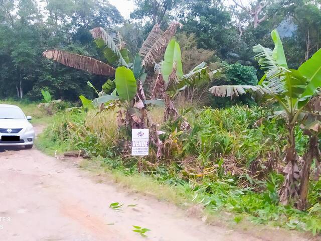 Terreno para Venda em São Francisco do Sul - 5