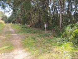 #17 - Terreno para Venda em Itapoá - SC - 2