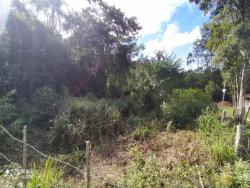 Terreno para Venda em São Francisco do Sul - 4